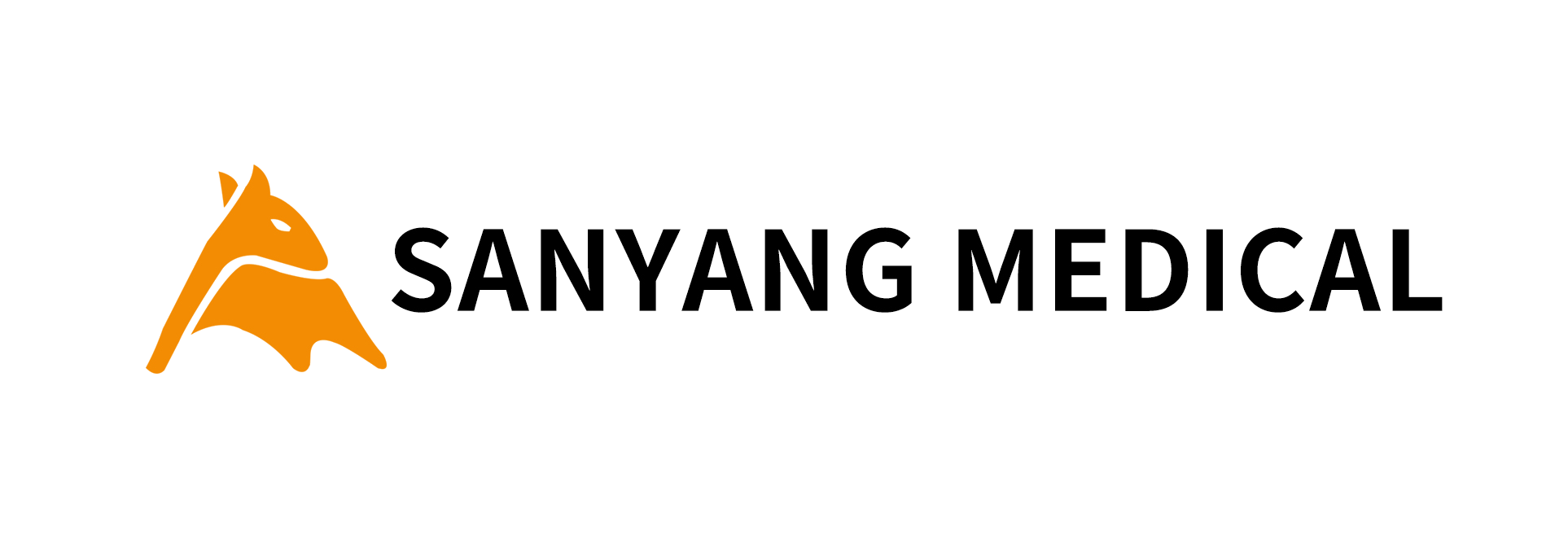 Sanyang Médical